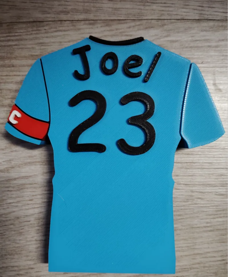 Camiseta futbol