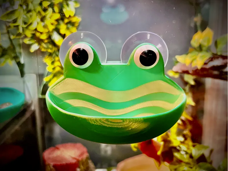 Frog Habitat Terrarium Wall Hanging Dish
