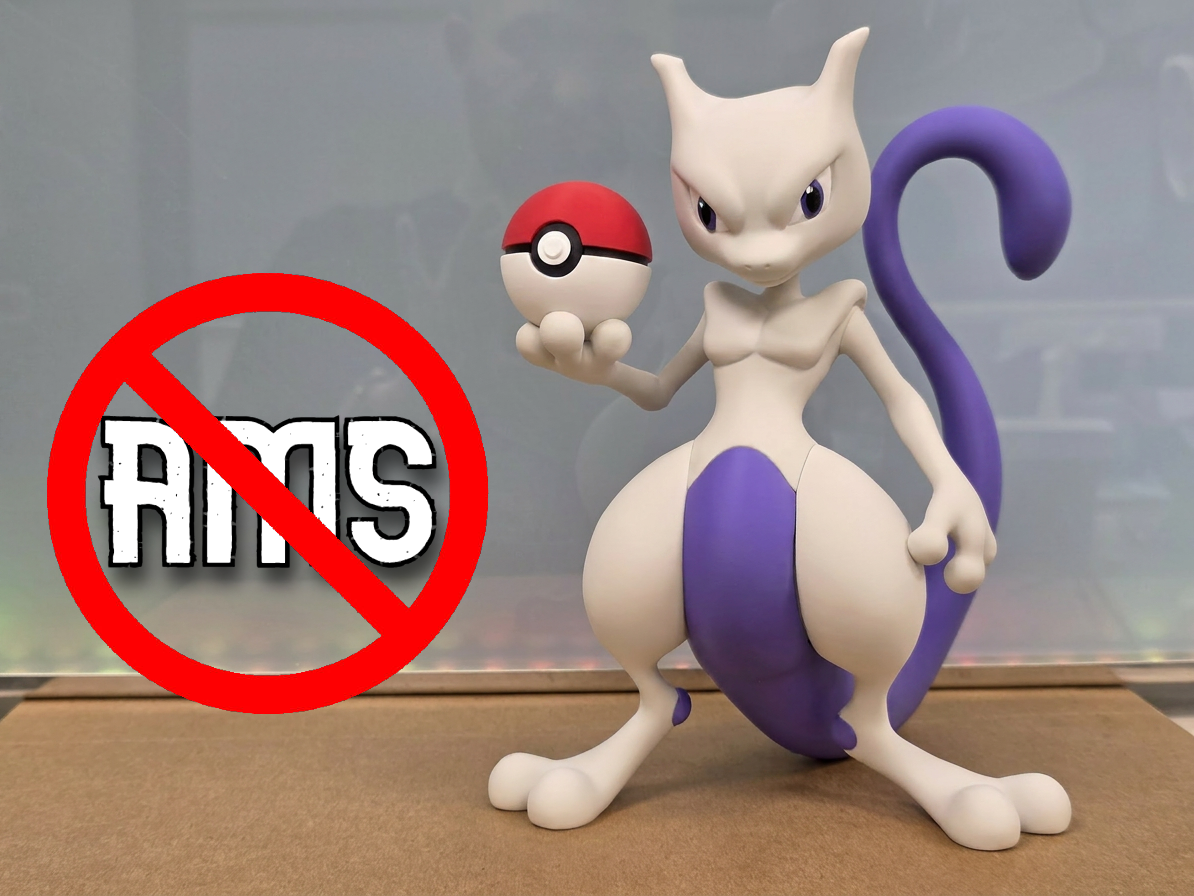 Mewtwo POKEMON /NO AMS