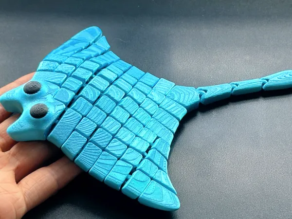 https://makerworld.bblmw.com/makerworld/model/US295e6e62fa61e4/design/2024-05-13_22f243a8b970d.jpg