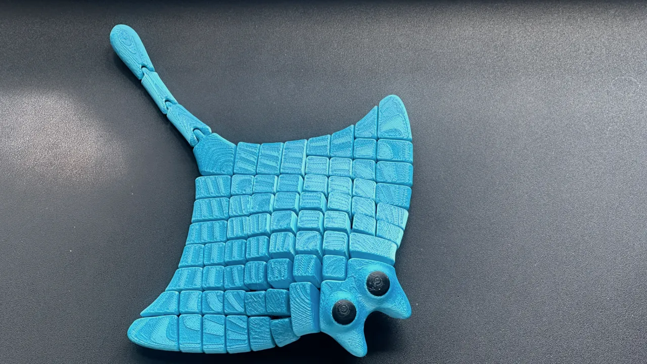 cute flexi manta ray -可爱魔鬼鱼 view 4