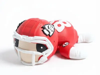 Kansas City Chiefs turtle