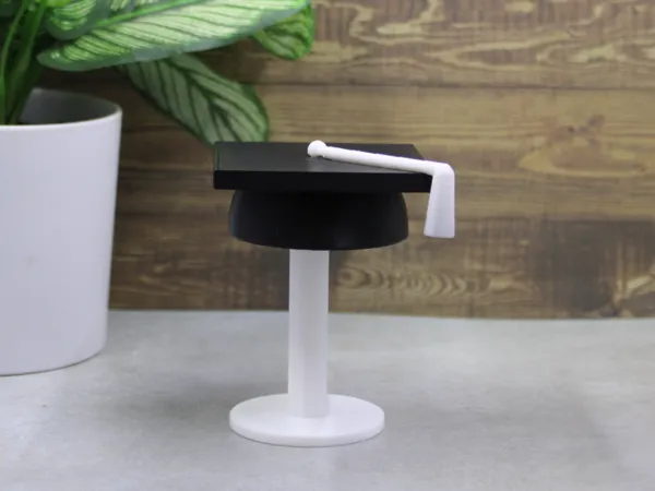 https://makerworld.bblmw.com/makerworld/model/US2961c2b59973de/design/2cc03b98c836513c.jpg