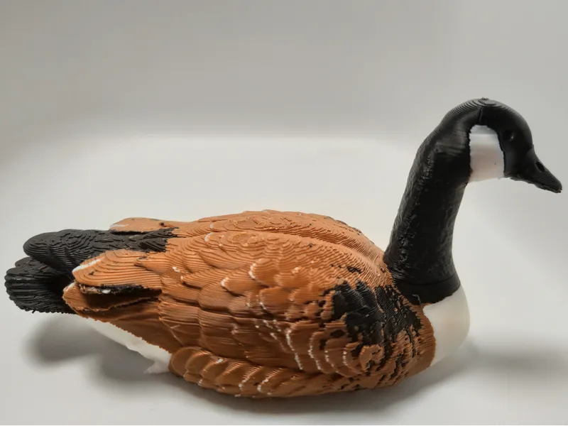 Canada Goose