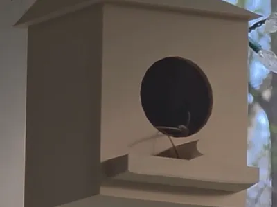 Bird House With Seed trough 