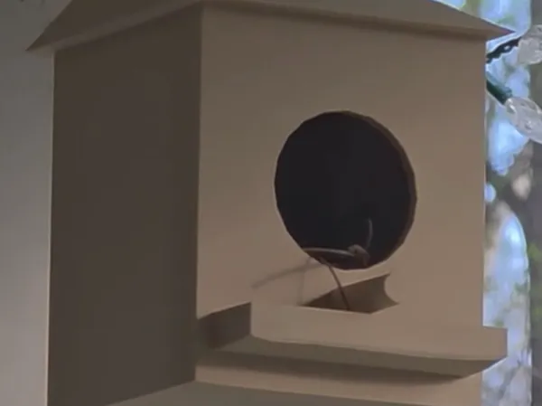 https://makerworld.bblmw.com/makerworld/model/US296a5a7885f320/design/2025-03-28_c0fde70d52a0c.jpg