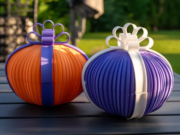 https://makerworld.bblmw.com/makerworld/model/US296e836c45466c/design/2024-09-17_e790291702b0a.jpg