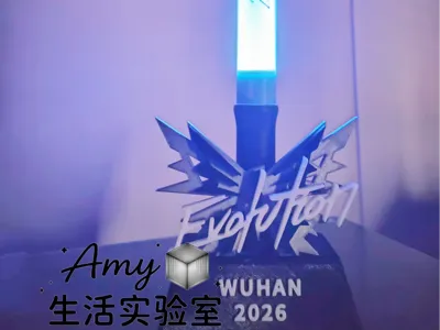 Nicholas Tse Concert Glow Stick Stand