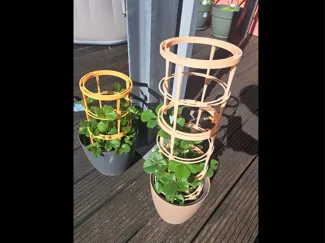 Pflanzenhalter Rankhilfe Modular + Schneckenschutz