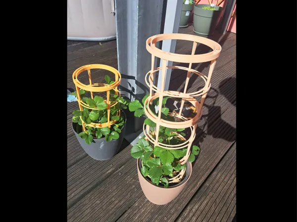 https://makerworld.bblmw.com/makerworld/model/US2970e285ce36f9/design/2025-05-15_1fc93fe363a0b.jpg