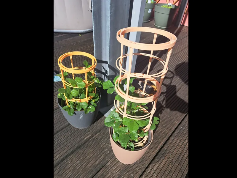 Pflanzenhalter Rankhilfe Modular + Schneckenschutz