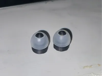 Earplugs