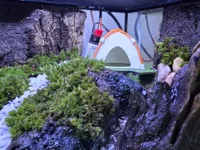 Cachette pour vivarium de petit reptile — photo 2