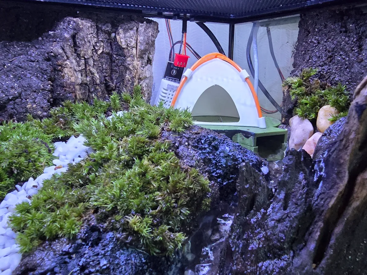 Cachette pour vivarium de petit reptile