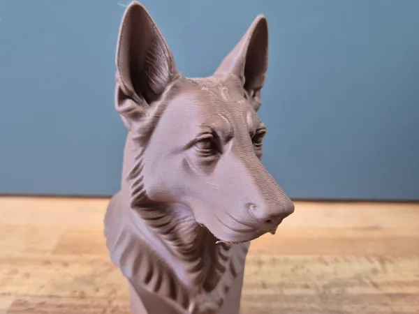 https://makerworld.bblmw.com/makerworld/model/US29775168282bf5/design/2025-05-14_d187ceda91f548.jpg
