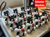 Baby Sylvester Keychain 12pzas