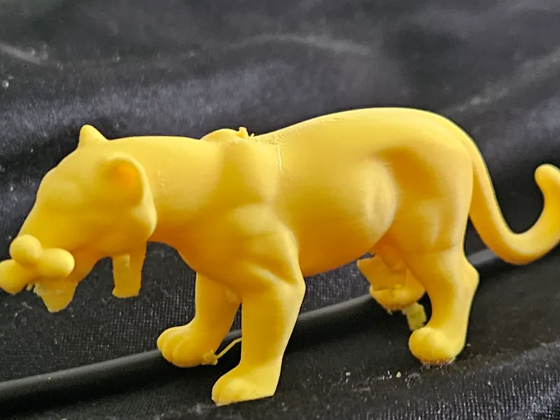 panther cat with bone
