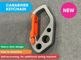 SolYan Carabiner Keychain