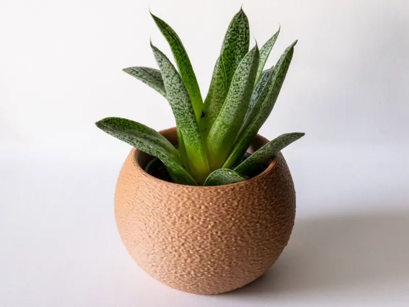 Round Fuzzy Mini Planter
