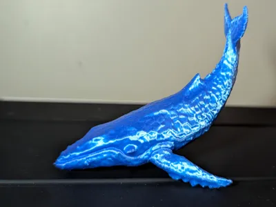 Whale - blue whale