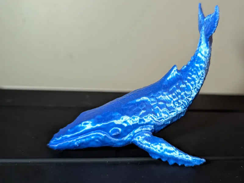 Baleine - blue whale