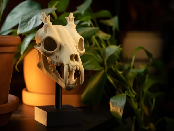 https://makerworld.bblmw.com/makerworld/model/US2994e2802e83ec/design/2025-05-23_b3a5764e13f3.jpg