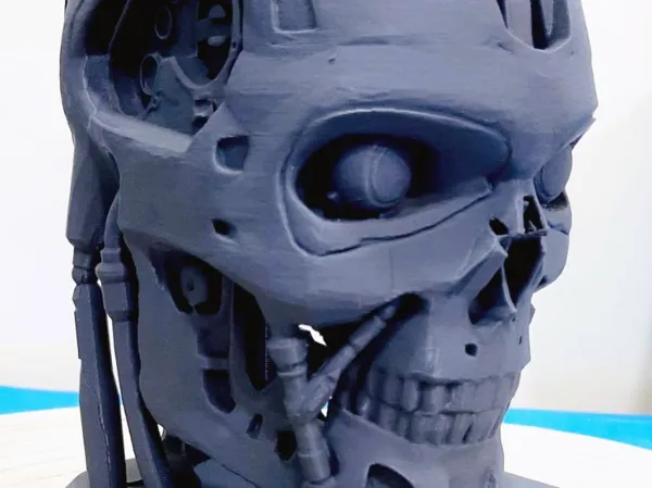 https://makerworld.bblmw.com/makerworld/model/US29a925d1cb3b7b/design/2024-08-23_5f7f57896aef2.jpg