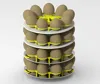 Stackable multi-plate version