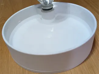 Multi-Dog Autofill Water Bowl