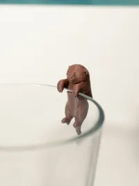 Single Color, 0.2mm layer, 2 walls, 10% infill
