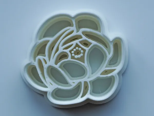 https://makerworld.bblmw.com/makerworld/model/US29affde1b5870e/design/2025-07-27_ee1c811537c5c8.jpg