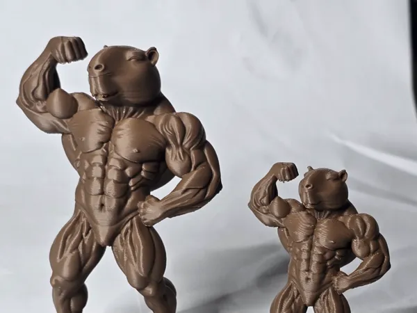 https://makerworld.bblmw.com/makerworld/model/US29bc7ca0c01e61/design/2025-11-27_e962f45acf0498.jpg