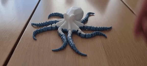 https://makerworld.bblmw.com/makerworld/model/US29bc93b19327f9/design/da6672460b7284ca.gif