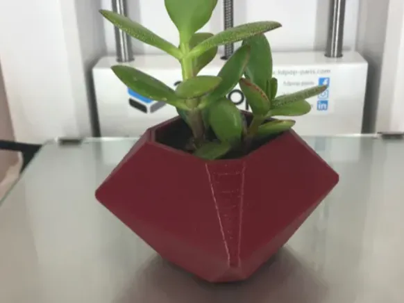 Flower pot