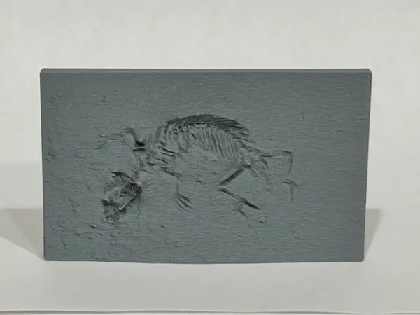 https://makerworld.bblmw.com/makerworld/model/US29c26700e7fb26/design/2025-02-17_ed37b30074a418.jpeg