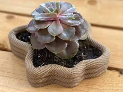 Rope tray I planter