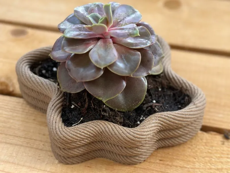 Rope tray I planter