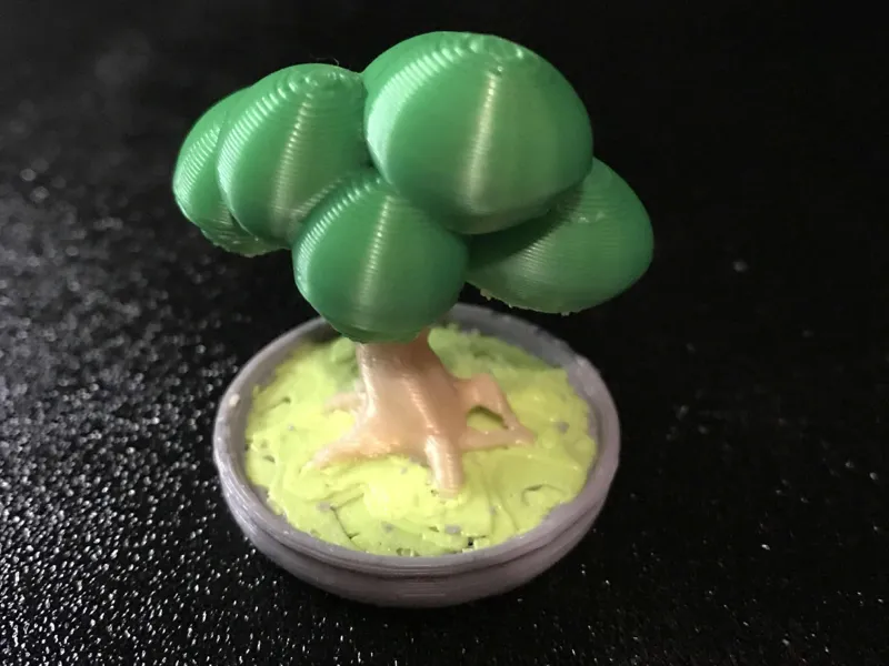 Bonsai tree