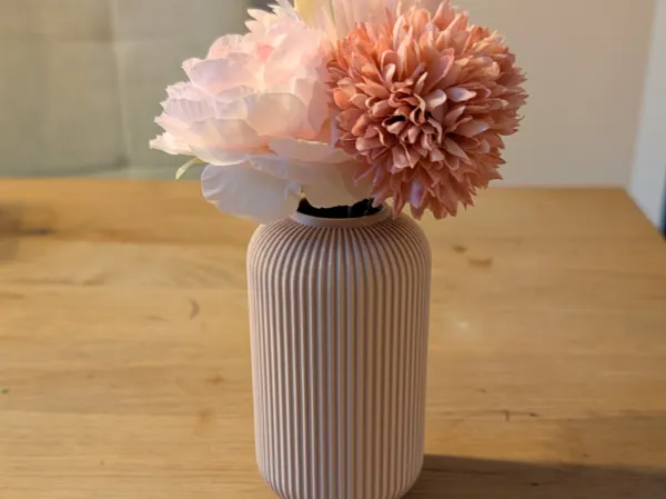 https://makerworld.bblmw.com/makerworld/model/US29d9369cccd32f/design/2025-07-08_d5e8a8a463d87.jpg