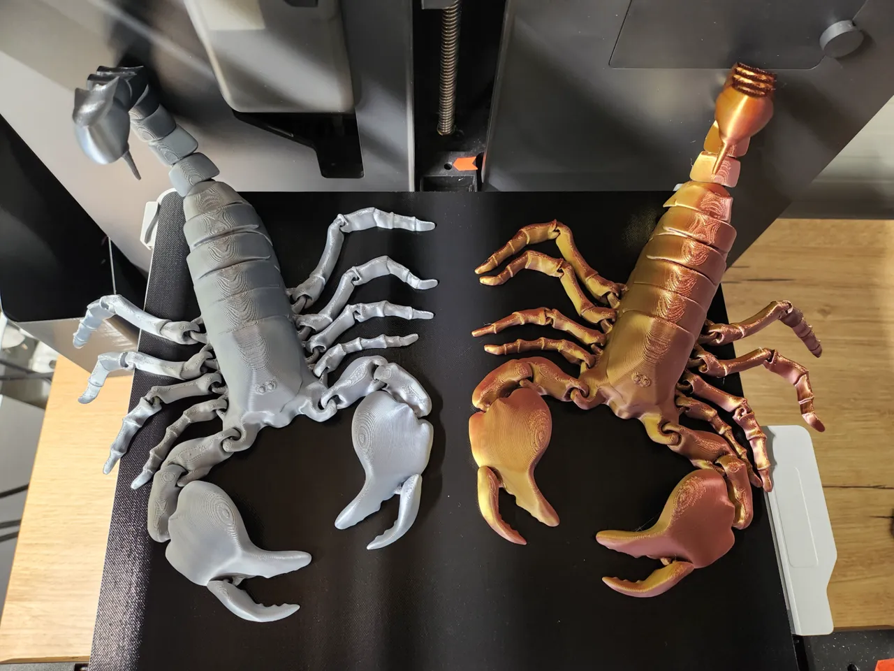Flexi scorpion view 2