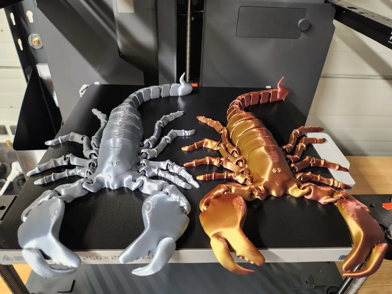 Flexi scorpion view 3
