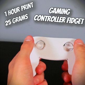 Controller Fidget Toy