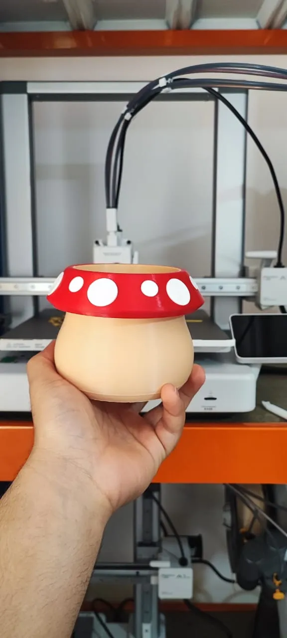https://makerworld.bblmw.com/makerworld/model/US29e488b47a2fbb/design/2025-01-02_dc9dd84fce205.jpeg