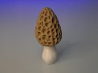 A1 Mini 0.16mm layer, 2 walls, 15% infill