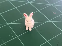 0.16mm layer, 3 walls, 15% infill