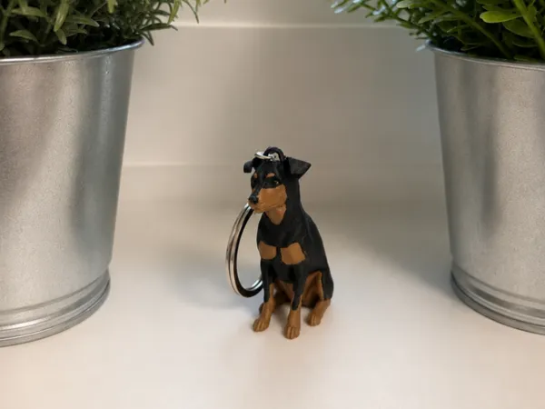 https://makerworld.bblmw.com/makerworld/model/US29f11856c98f8f/design/af91917abc78f170.png