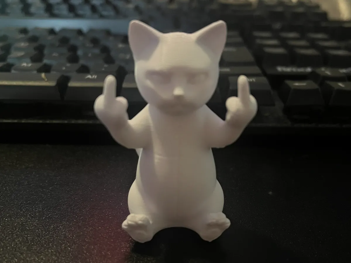 Chat grincheux au doigt d'honneur
