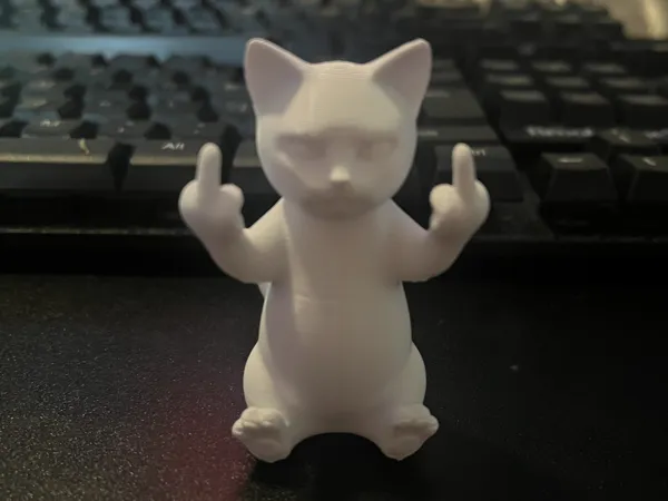 Chat grincheux au doigt d'honneur
