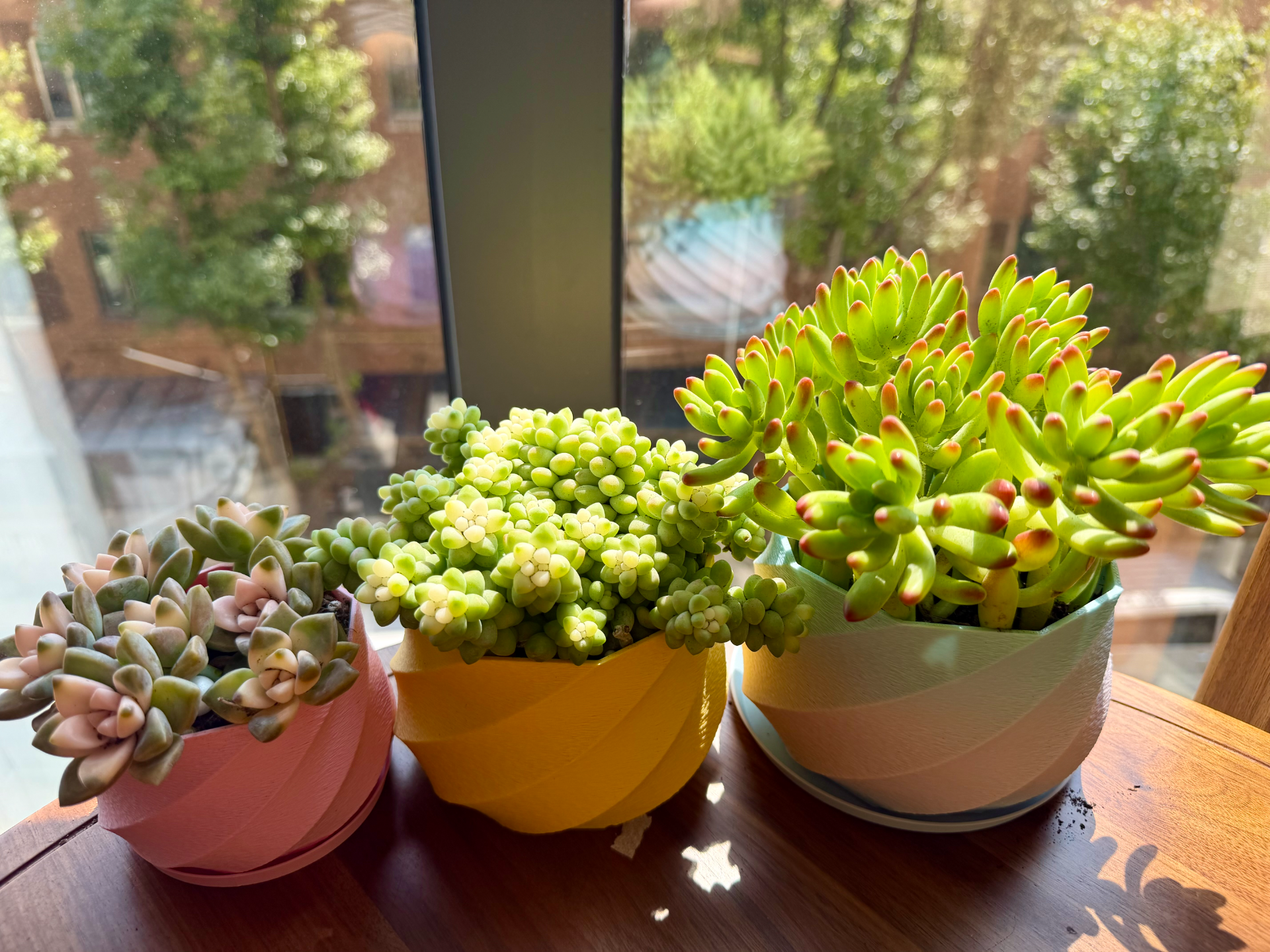 多肉花盆 盆口：8cm、9.5cm、11cm  高度：6cm、7cm、8cm  有排水孔/无孔 花瓶