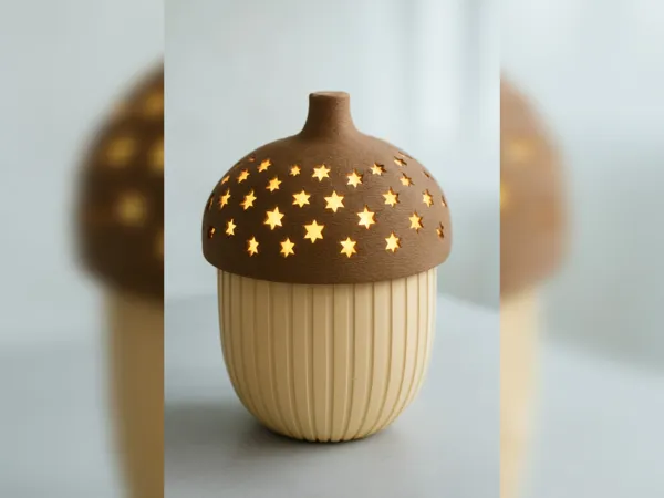 https://makerworld.bblmw.com/makerworld/model/US29f5dbe0d0ecdb/design/2025-08-30_5ffdf2a78e5d9.jpg
